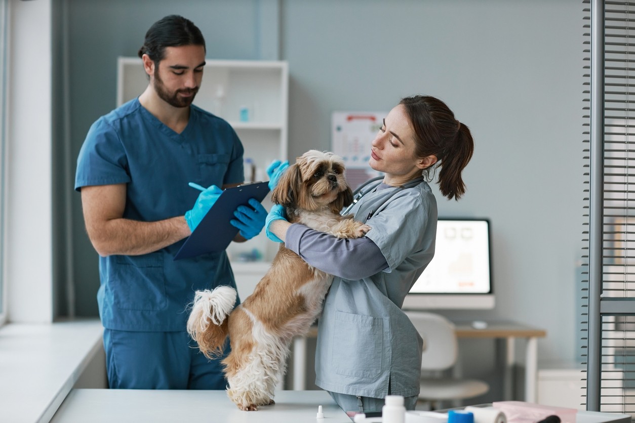 Veterinary Health Care Assistant
